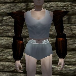 File:Platemail Sleeves Live.jpg