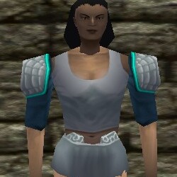 File:Leather Pauldrons Live.jpg