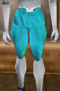 File:Aphus Wading Pants Lapyan Live.jpg