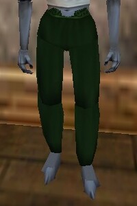 Baggy Pants Verdalim Live.jpg