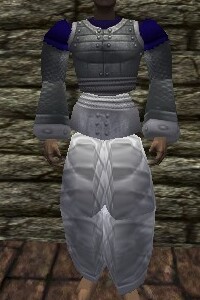 File:Amuli Armor Argenory Live.jpg