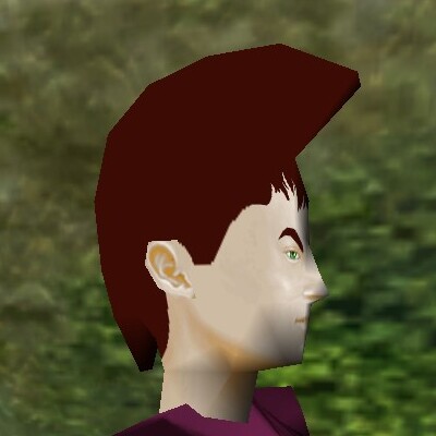 File:Haircut Skin 14 Live.jpg