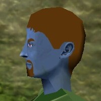 File:Haircut Skin 22 Live.jpg