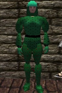 File:Studded Leather Armor Minalim Live.jpg