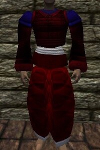 File:Amuli Armor Hennacin Live.jpg