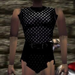 File:Scalemail Cuirass Live.jpg