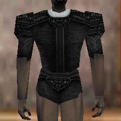 File:Fine Armoredillo Hide Shirt Thananim Live.jpg