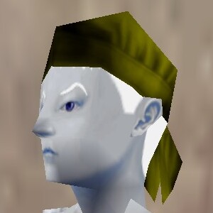 File:Bandana Berimphur Live.jpg