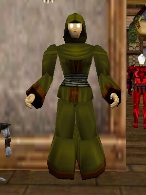 File:Pathwarden Robe (Aluvian) Berimphur Live.jpg