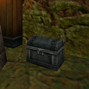 Heavy Chest Live.jpg