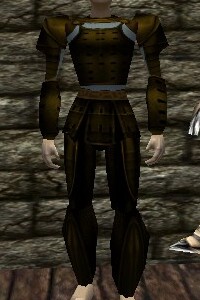 Yoroi Armor Berimphur Live.jpg