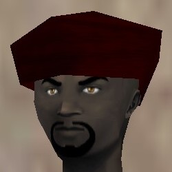 File:Leather Cap Hennacin Live.jpg