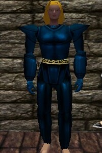 File:Platemail Armor Colban Live.jpg