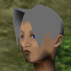 File:Haircut Skin 21 Live.jpg