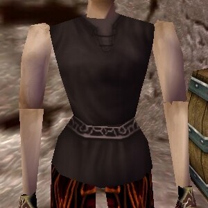 File:Jerkin (Store) Dark Brown Live.jpg