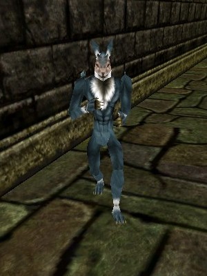 Mite Snippet Live.jpg