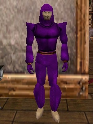 File:Leather Armor (Store) Relanim Live.jpg