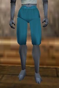 File:Loose Breeches Lapyan Live.jpg