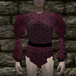 Studded Leather Coat Live.jpg