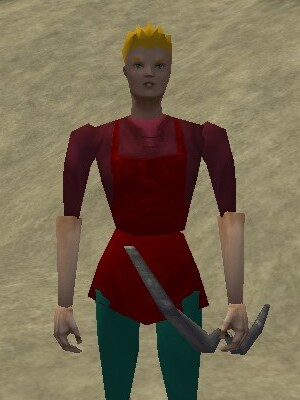 File:Roaming Bowyer (Osteth North Beach) Live.jpg