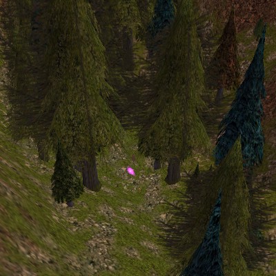 File:Small Hill Base Live.jpg