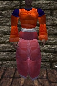 File:Amuli Armor Fail Live.jpg