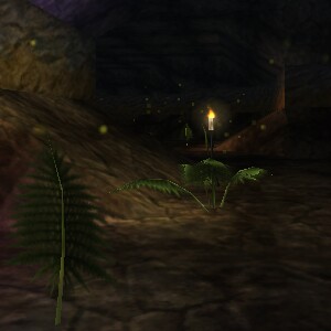 Winthura's Garden Live 2.jpg