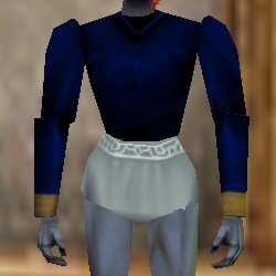 Poet's Shirt Colban Live.jpg