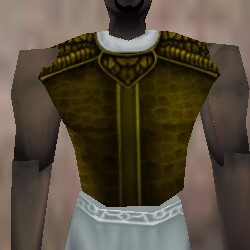 File:Armoredillo Hide Breastplate Berimphur Live.jpg