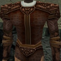 Armoredillo Hide Coat - New style