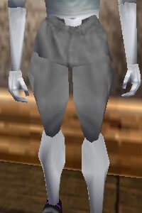 File:Aphus Wading Pants Argenory Live.jpg