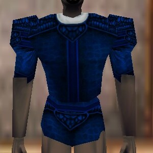 File:Fine Armoredillo Hide Shirt Colban Live.jpg