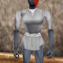 File:Tunic Argenory Live.jpg