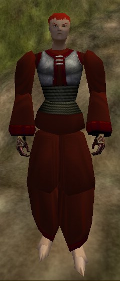 File:Dho Vest and Robe Hennacin Live.jpg