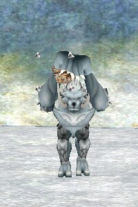 File:Frozen Coconut Live.jpg