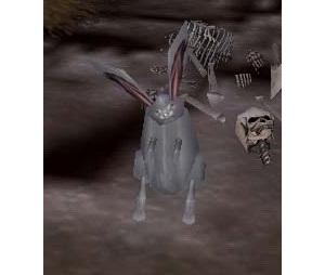 File:White Rabbit Live 2.jpg