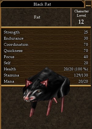 File:Black Rat.jpg