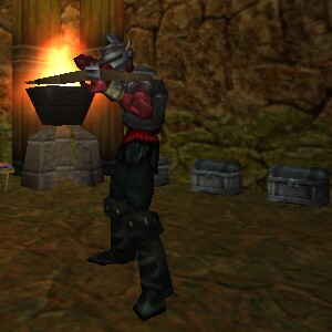 File:Cave (47.8S 83.7W) 3 Live.jpg