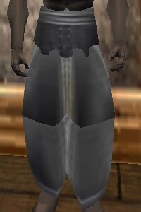 File:Heavy Gromnie Hide Leggings Argenory Live.jpg