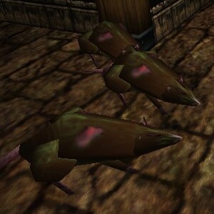 File:Swamp Rat SoLL Live.jpg