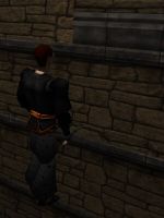 Taking a leap of faith