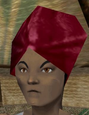 Turban (Store) Rosa Live.jpg