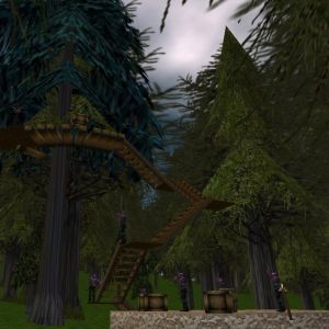 Tumerok Treehouse Live.jpg