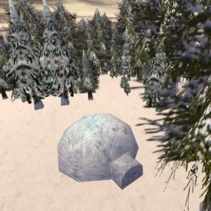 73.8N, 13.7W - Igloo Live.jpg