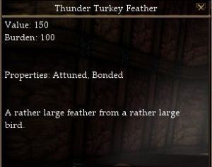 Thunder Turkey Feather.jpg