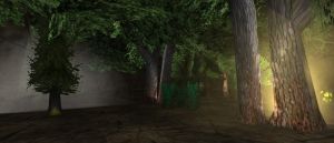 Underground Forest Live 4.jpg