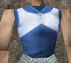 Vest (Store) Light Blue Live.jpg