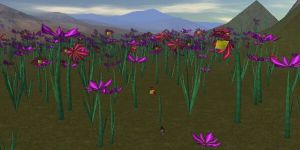 Vale of Giant Flowers Live.jpg