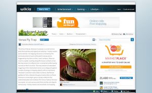 Oasis Logged Out.jpg