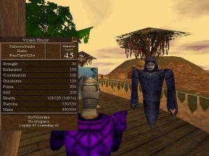 Ayan Baqur Virindi Invasion Live 3.jpg